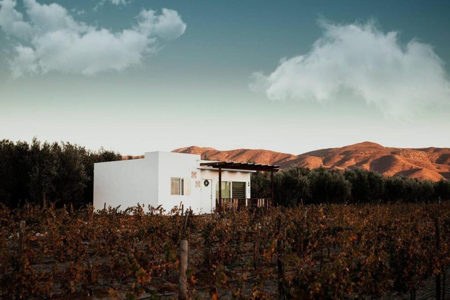 Casa Colibri Guadalupe Valley Esterno foto